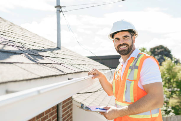 Best Roof Gutter Cleaning  in South Elgin, IL