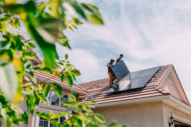 Roof Gutter Cleaning in South Elgin, IL